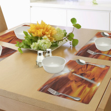 Sandstone Sunbeam Canyon Place Mats