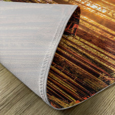 Redwoods Forestry Place Mats