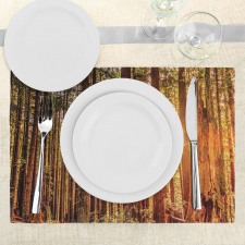 Redwoods Forestry Place Mats