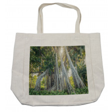 Giant Ficus Trunk Sunbeams Shopping Bag