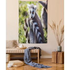 Ring Tailed Funny Expression Tapestry