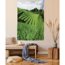 Sunny Landscape Tea Fields Tapestry