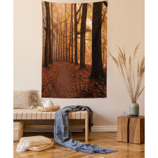 Fall Hiking Enchanted Tapestry