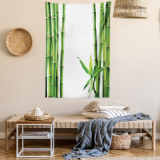 Branches of Bamboo Plant Tapestry