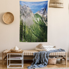 High Mountains and Forest Tapestry