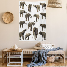 Elephants Tusk Ear Tapestry