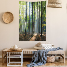 Sunbeams Serene Morning Tapestry