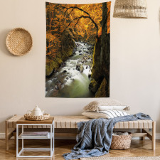 River with Rocks Forest Lush Tapestry