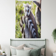 Ring Tailed Funny Expression Tapestry