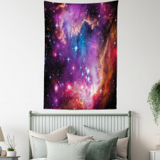 Magellanic Cloud Stars Tapestry