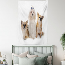 Chihuahua and Maltese Dogs Tapestry