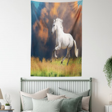 Andalusian Horse Dusk Tapestry