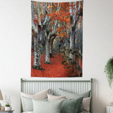 Beech Forest Autumn Tapestry