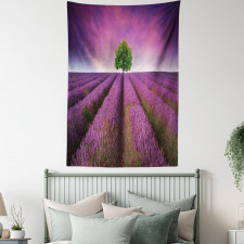 Lavender Fields and Tree Tapestry