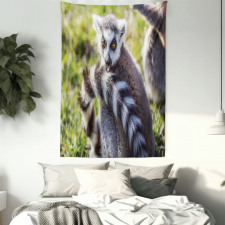 Ring Tailed Funny Expression Tapestry