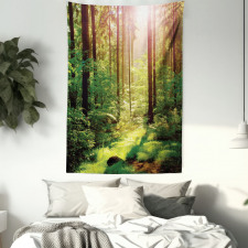 Sunset Moss Woods Trees Tapestry