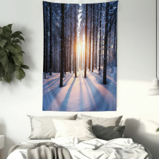 Sunset at Wintertime Tapestry