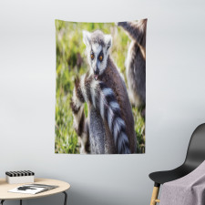 Ring Tailed Funny Expression Tapestry