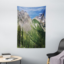 High Mountains and Forest Tapestry