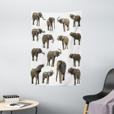 Elephants Tusk Ear Tapestry