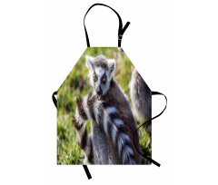 Ring Tailed Funny Expression Apron