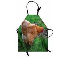 Chicken on Grass Farm Photo Apron