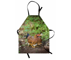 Chicken on Babies Apron