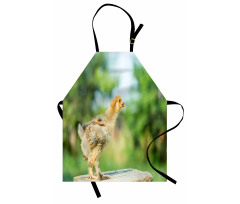 Little Baby Chicken on Log Apron