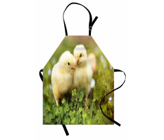 Baby Chickens Photo Apron