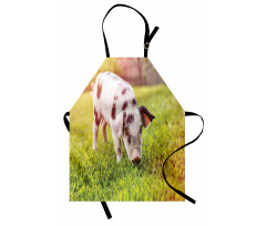 Baby Pig with Spots Apron