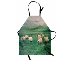 Sheep Grazing on Grass Apron