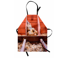 Hen in Cage with Eggs Apron