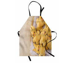 Homemade Rabbit Cookie Apron