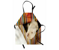 Newborn Dog in Gift Box Photo Apron