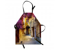 Historical Houses Alley Apron