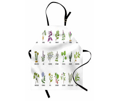 Educational Herbs Design Apron