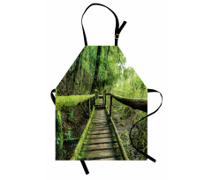 Rainforest in Inthanon Apron