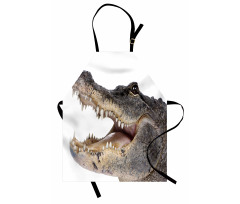 Wild American Alligator Apron