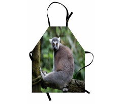 Photo of Madagascar Mammal Apron