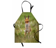 Young Curious Coyote Animal Apron