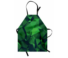 Abstract Poly Apron