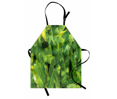 Photo of Tropic Botany Apron