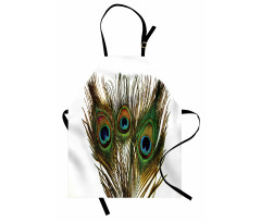 Close up Peacock Feather Apron