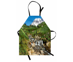 Edith Creek Mount Rainier Apron