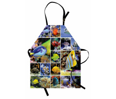 Collage of Underwater Apron