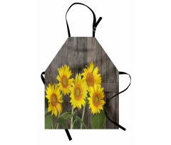 Helianthus Sunflowers Apron