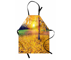 Evening Natural Park Apron