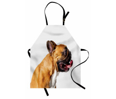 Young Pet Posing Side Shot Apron