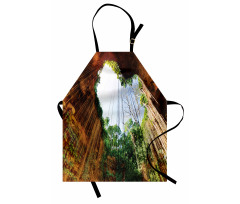 Bottom View of Cenote Heart Apron