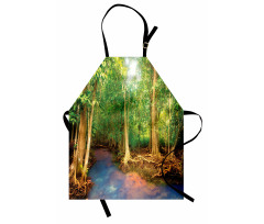 Roots of Mangrove Trees Apron